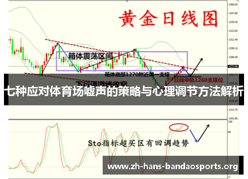 七种应对体育场嘘声的策略与心理调节方法解析