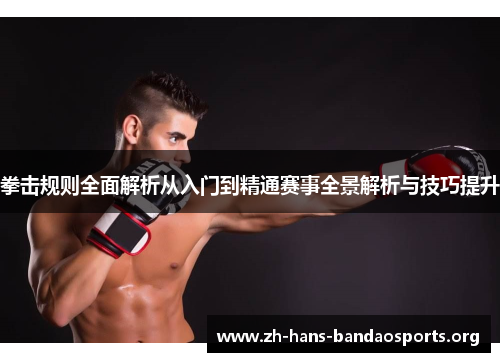 拳击规则全面解析从入门到精通赛事全景解析与技巧提升