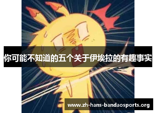 你可能不知道的五个关于伊埃拉的有趣事实