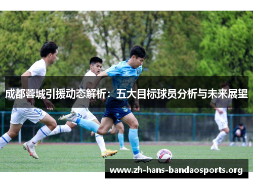 成都蓉城引援动态解析：五大目标球员分析与未来展望