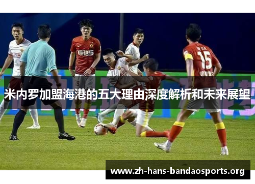 米内罗加盟海港的五大理由深度解析和未来展望