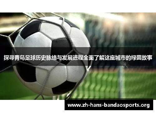 探寻青岛足球历史脉络与发展进程全面了解这座城市的绿茵故事
