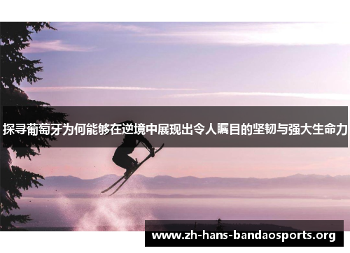 探寻葡萄牙为何能够在逆境中展现出令人瞩目的坚韧与强大生命力
