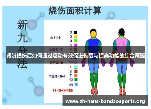肾脏损伤后如何通过运动有效促进恢复与提高功能的综合策略