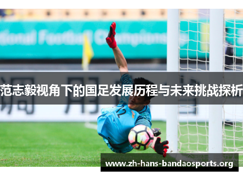 范志毅视角下的国足发展历程与未来挑战探析