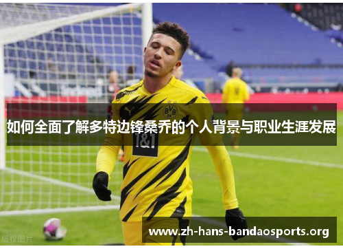 如何全面了解多特边锋桑乔的个人背景与职业生涯发展 如何全面了解多特边锋桑乔的个人背景与职业生涯发展